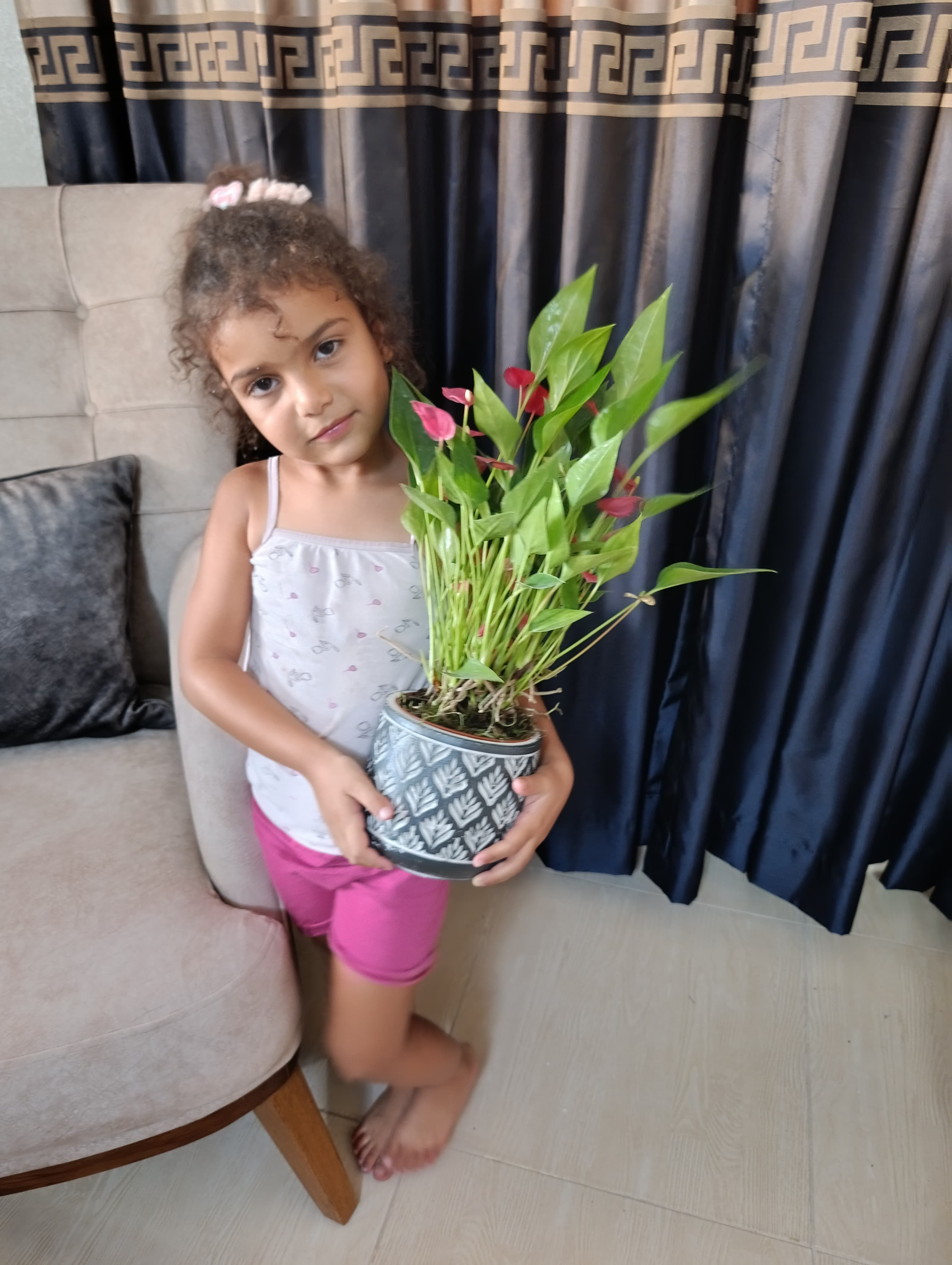Modern Desenli Taş Saksıda Flamingo Çiçeği